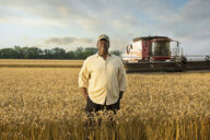 Man in a field of wheat